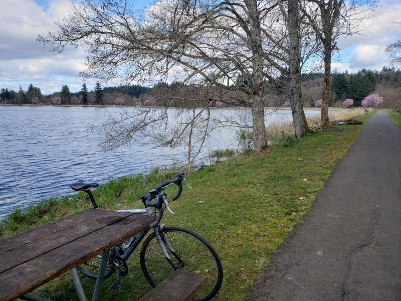 Vernonia: The Small Town at the End of the Line Vernonia: The Small Town at the End of the Line