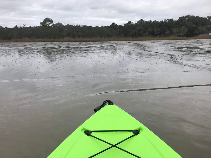 Viewing the Monkeys from the Water