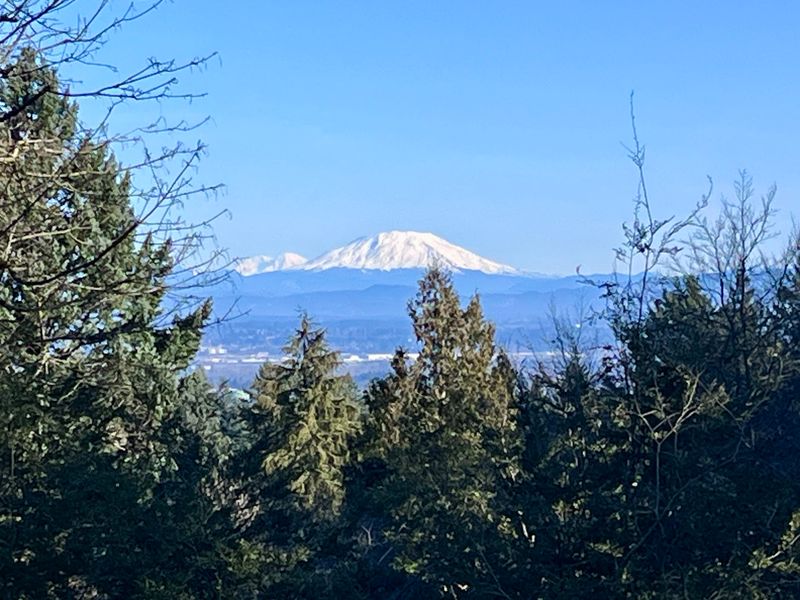 Views Of Mount St. Helens And Mount Rainier Views Of Mount St. Helens And Mount Rainier