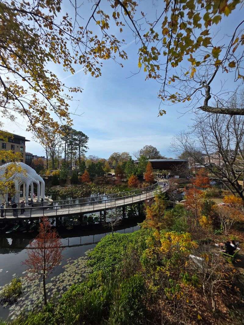 Views That Make You See Cary Differently Views That Make You See Cary Differently