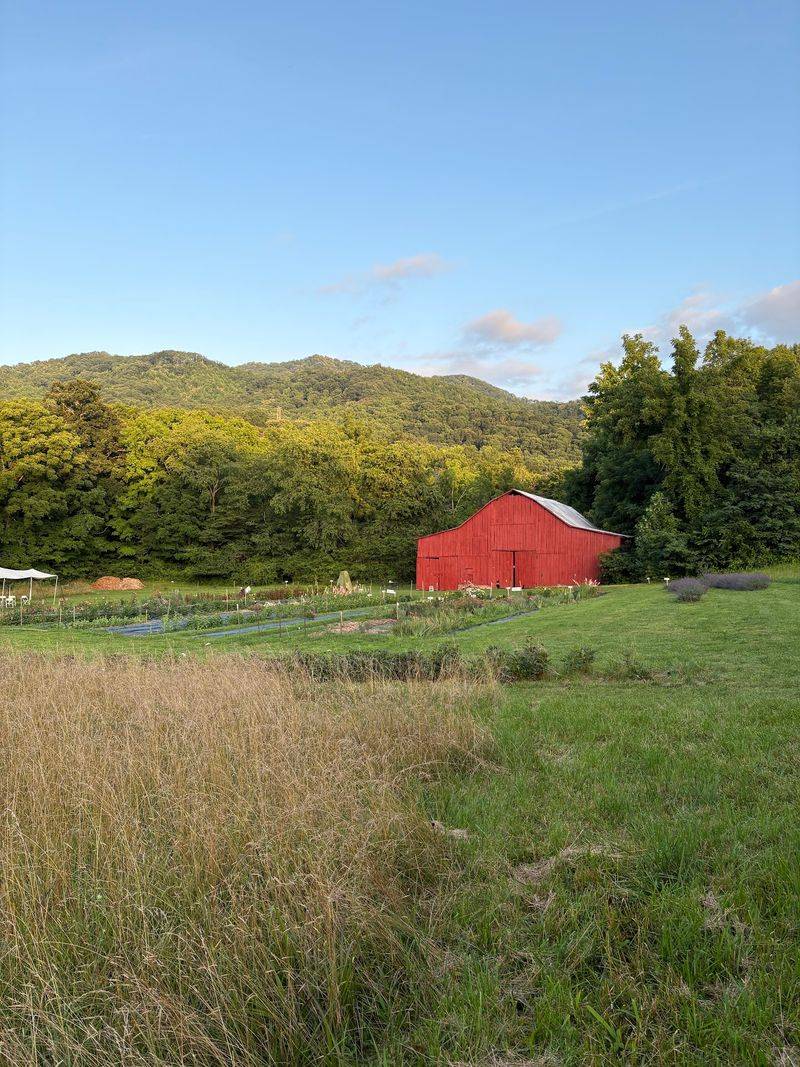 Views, the Barn, and Time to Unplug Views, the Barn, and Time to Unplug
