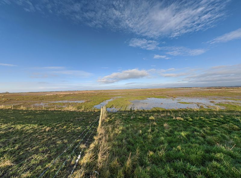WWT Steart Marshes, Bridgwater, Somerset, England WWT Steart Marshes, Bridgwater, Somerset, England