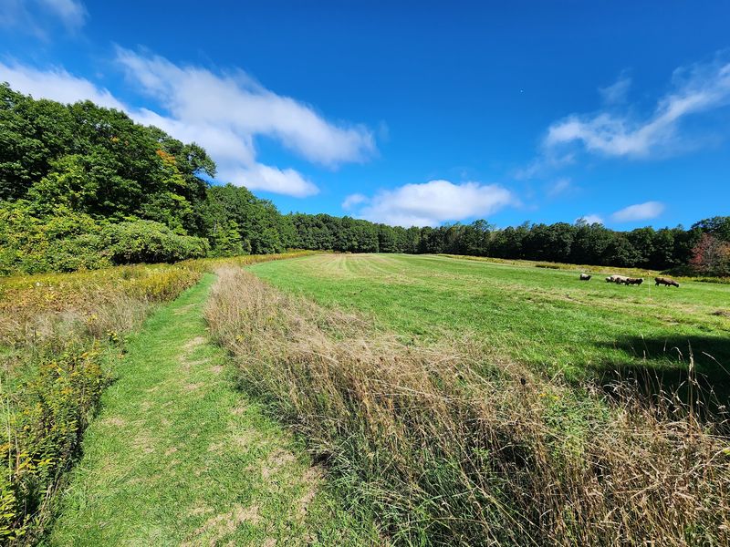 Wachusett Meadow Wildlife Sanctuary, Princeton