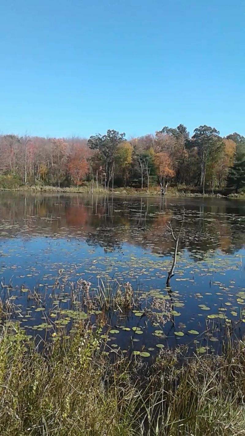 Wachusett Meadow area ponds and Wollaston area, Ashby Wachusett Meadow area ponds and Wollaston area, Ashby