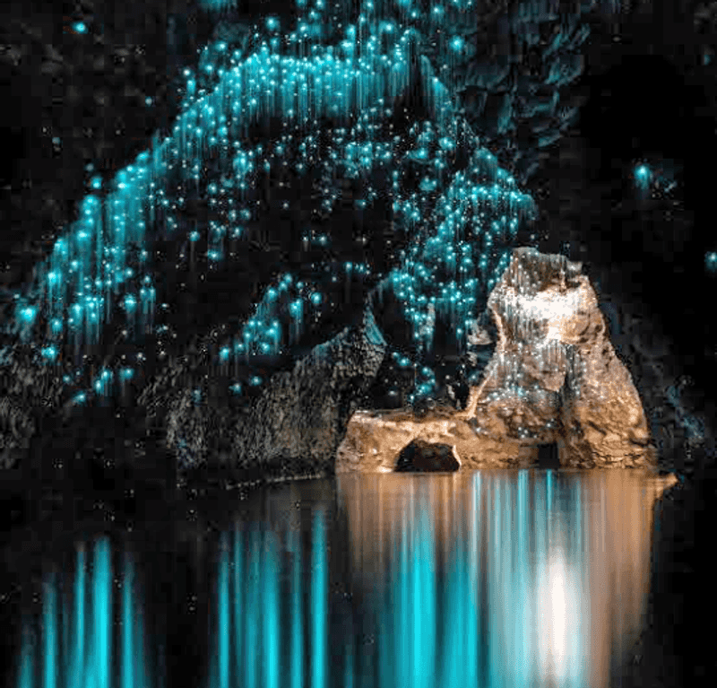 Waitomo Caves Waitomo Caves