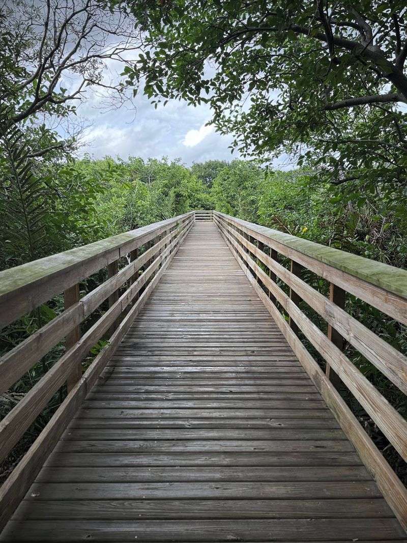 Wakodahatchee Wetlands Boardwalk, Delray Beach, Florida Wakodahatchee Wetlands Boardwalk, Delray Beach, Florida
