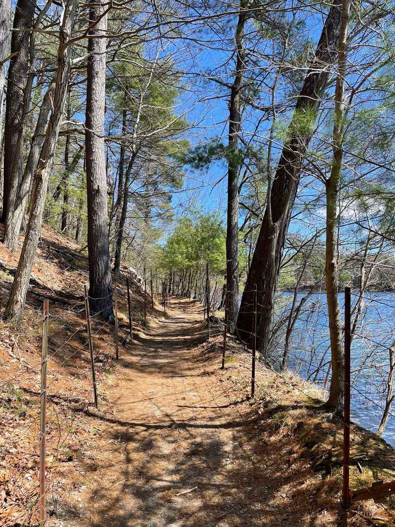 Walden Pond Path, Concord