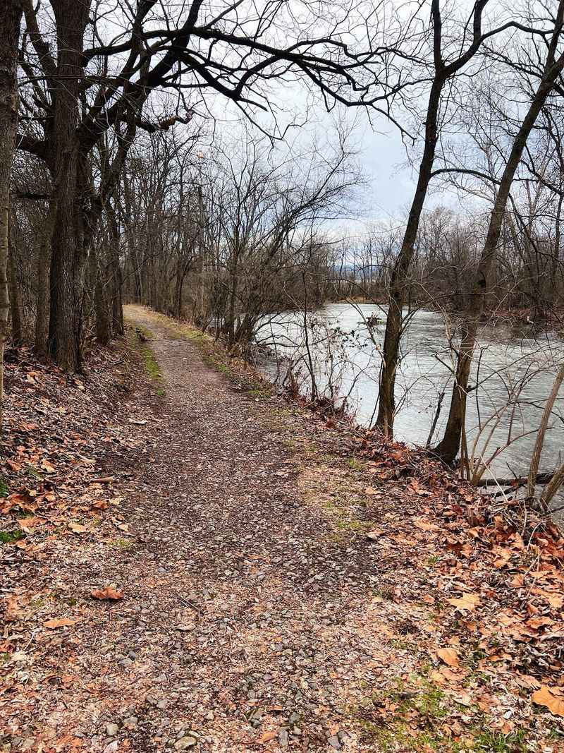 Walking Beside Buffalo Creek: The Floodplain Section Walking Beside Buffalo Creek: The Floodplain Section