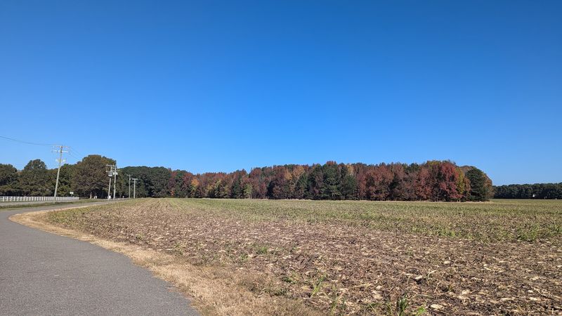 Walking and Non-Cycling Uses of the Trail