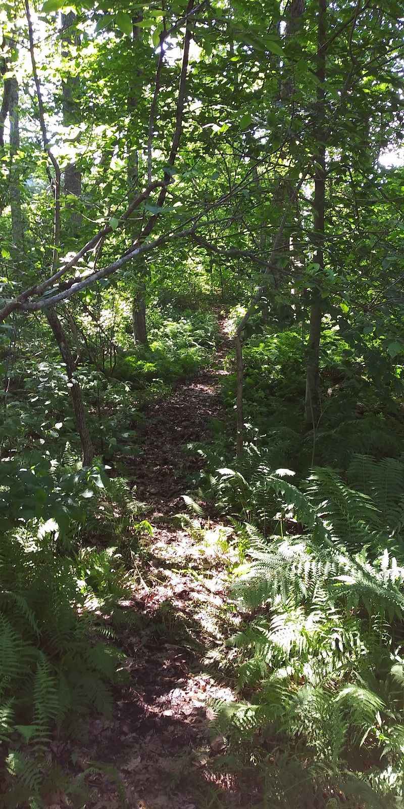 Walking the Trails and Soaking In the Calm Walking the Trails and Soaking In the Calm