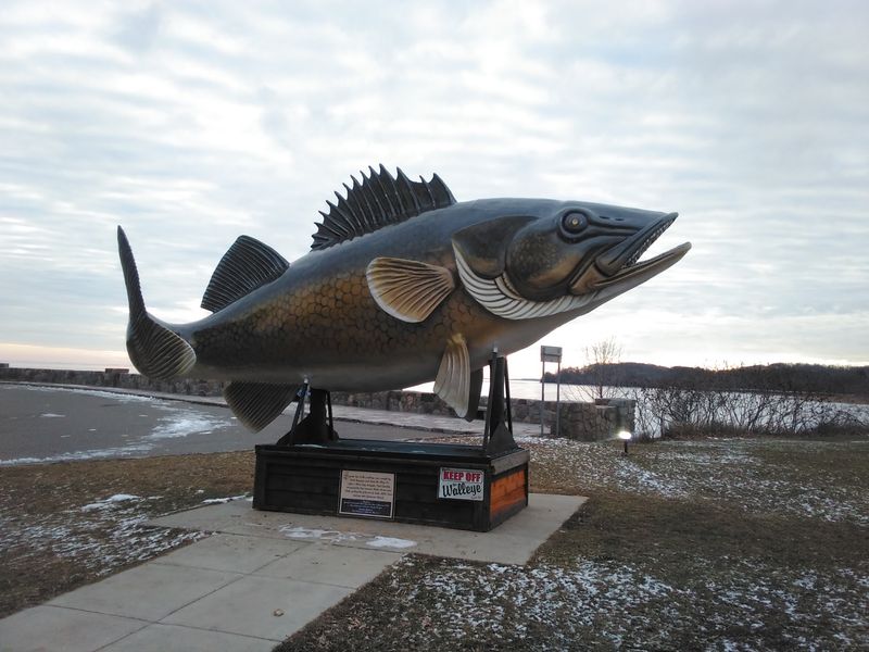 Walleye Fishing That Defines the Lake's Identity Walleye Fishing That Defines the Lake's Identity