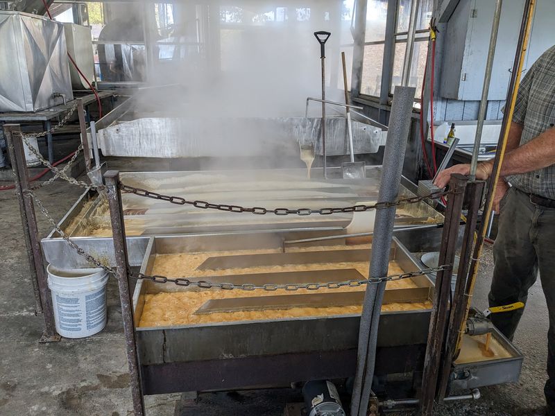 Watching Sorghum Made From Start to Finish Watching Sorghum Made From Start to Finish