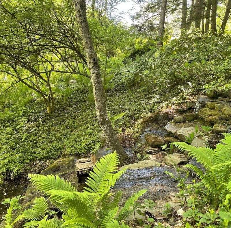 Water, Birds, and the Sounds That Settle You