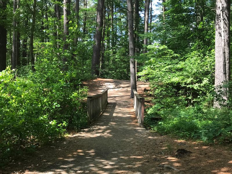 Water Views, Wooden Bridges, and a Walk That Feels Like a Nature Escape Water Views, Wooden Bridges, and a Walk That Feels Like a Nature Escape