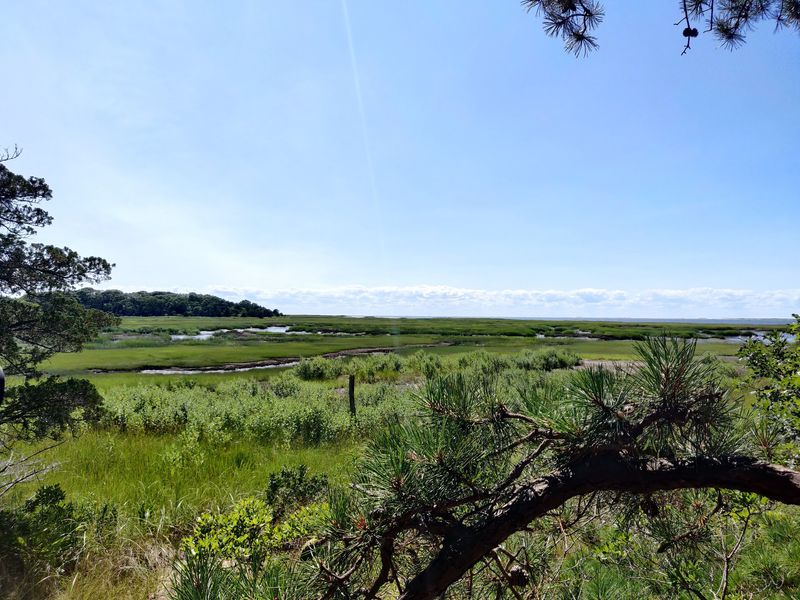 Wellfleet Bay Wildlife Sanctuary, South Wellfleet