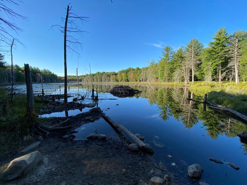 Wetlands That Bring the Landscape to Life Wetlands That Bring the Landscape to Life