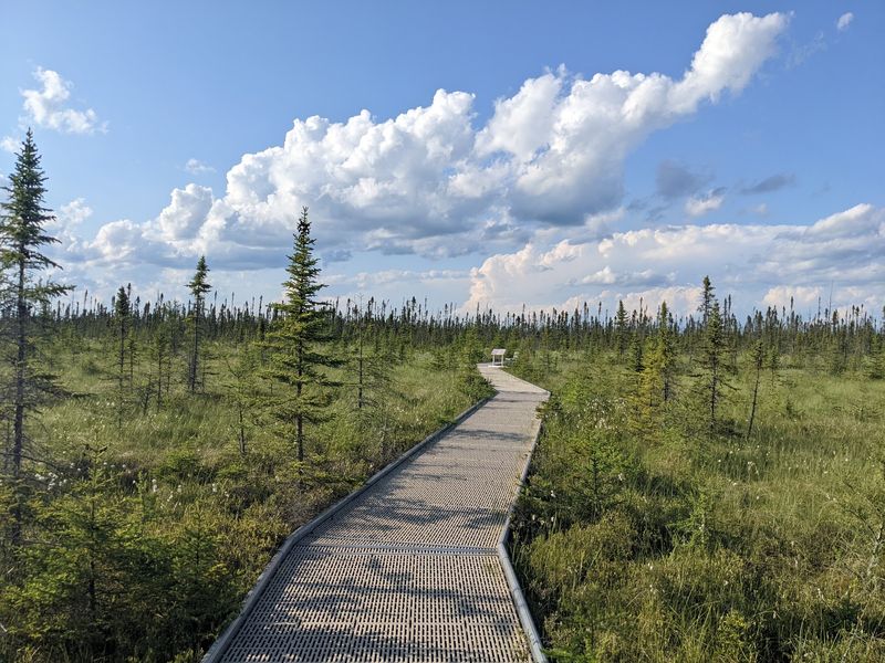 What Big Bog State Recreation Area Actually Is