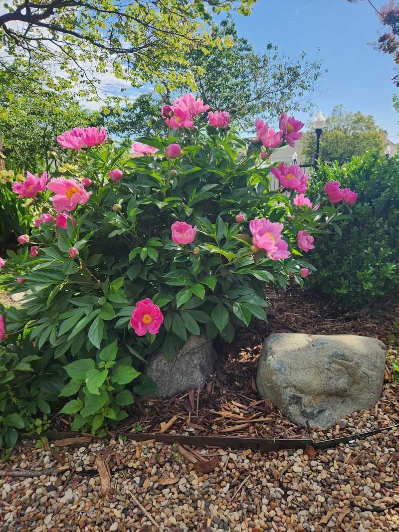 What Blooms When, and Why Timing Your Visit Pays Off What Blooms When, and Why Timing Your Visit Pays Off