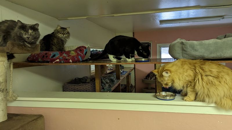 What Catmandu Actually Is and Where to Find It What Catmandu Actually Is and Where to Find It