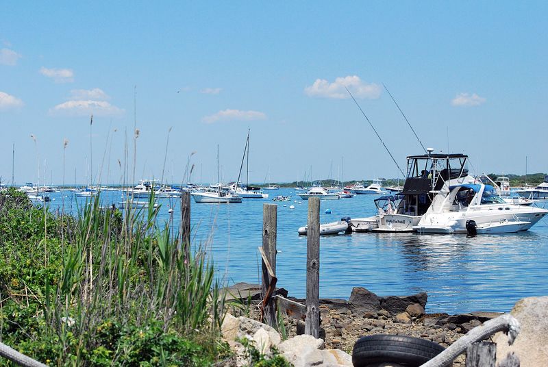 What Corrie Teaches About Salt Marshes What Corrie Teaches About Salt Marshes