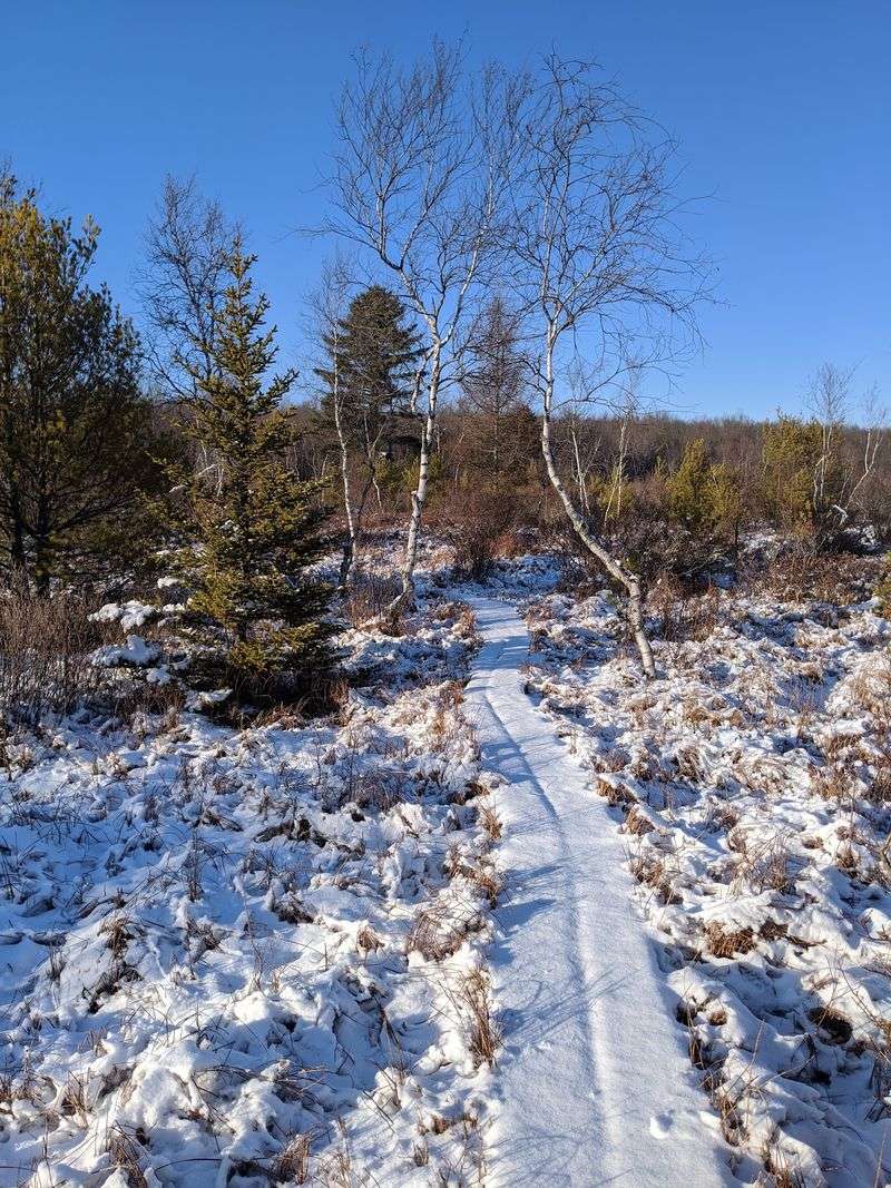 What Each Season Looks and Feels Like on the Trail