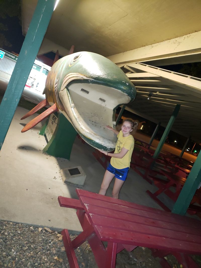What Exactly Is a Tiger Muskie What Exactly Is a Tiger Muskie
