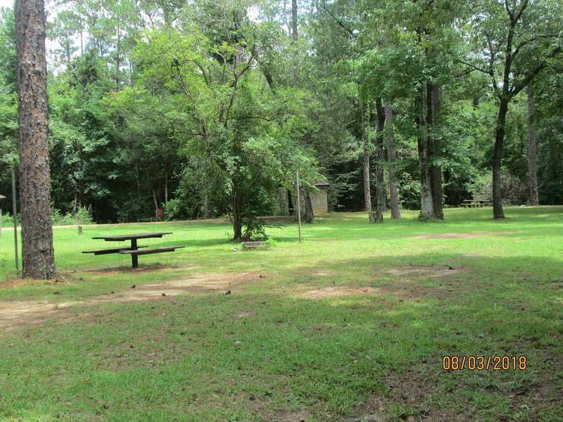 What Is De Soto National Forest What Is De Soto National Forest