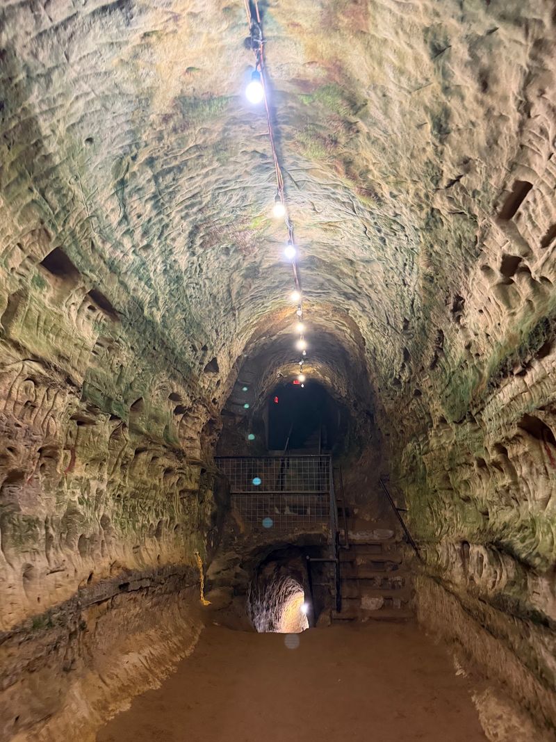 What It Actually Feels Like to Walk Through the Tunnels What It Actually Feels Like to Walk Through the Tunnels