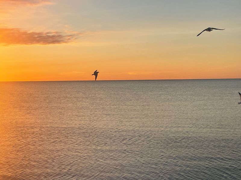 What Makes Mille Lacs Lake So Special What Makes Mille Lacs Lake So Special