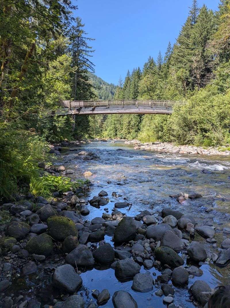 What Makes Wildwood Worth the Drive From Portland What Makes Wildwood Worth the Drive From Portland