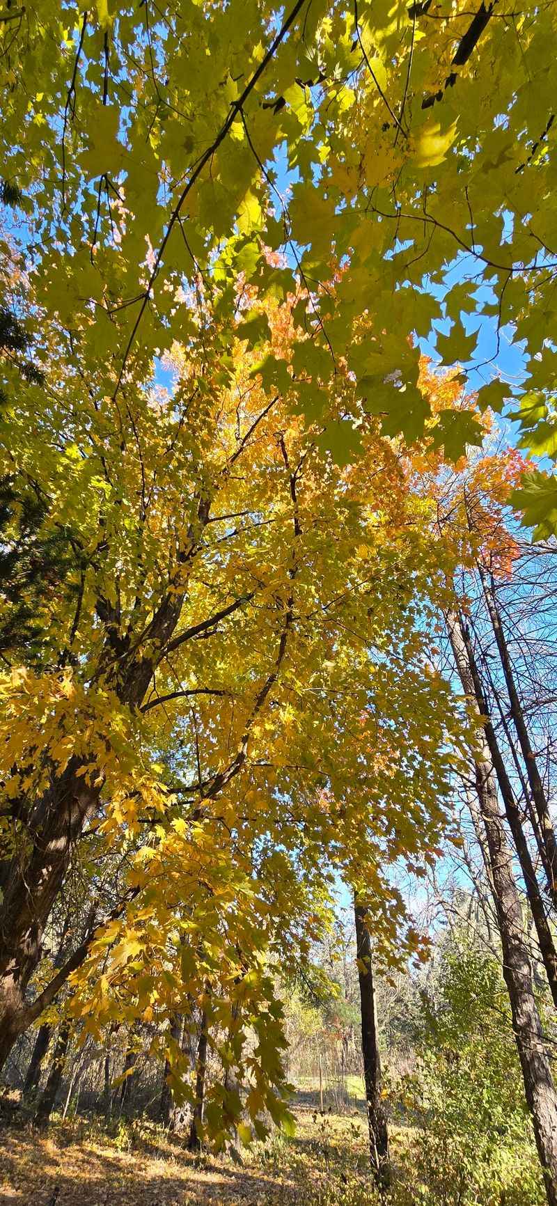 What Makes the Autumn and Spring Visits Stand Apart What Makes the Autumn and Spring Visits Stand Apart