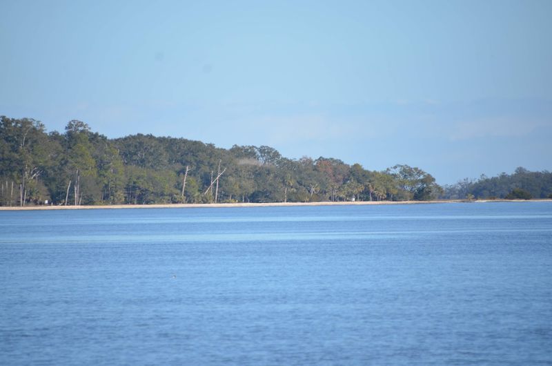 What Morgan Island Actually Is