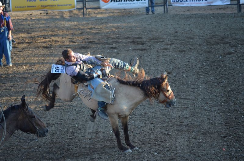 What PRCA Certification Actually Means for Fans What PRCA Certification Actually Means for Fans