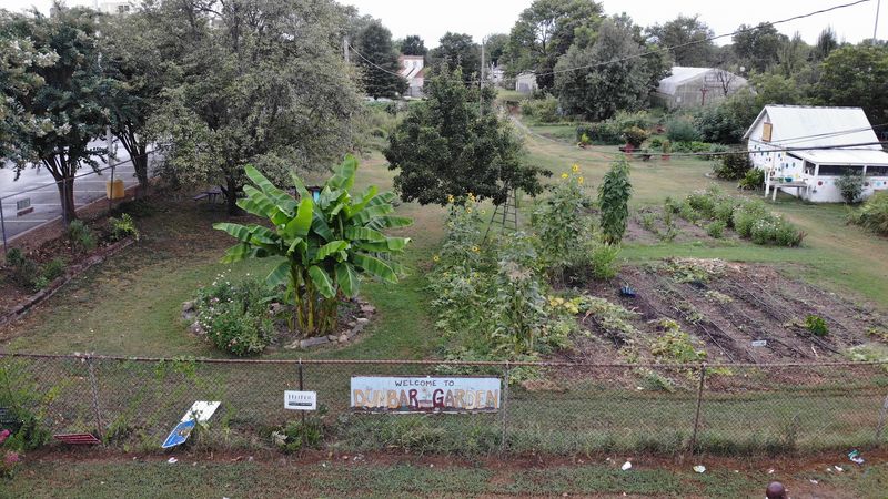 What Three Acres Can Actually Hold
