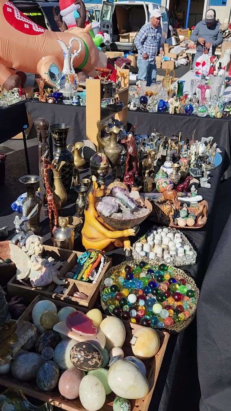 What You Can Actually Find: Categories, Collectibles, and Surprises What You Can Actually Find: Categories, Collectibles, and Surprises