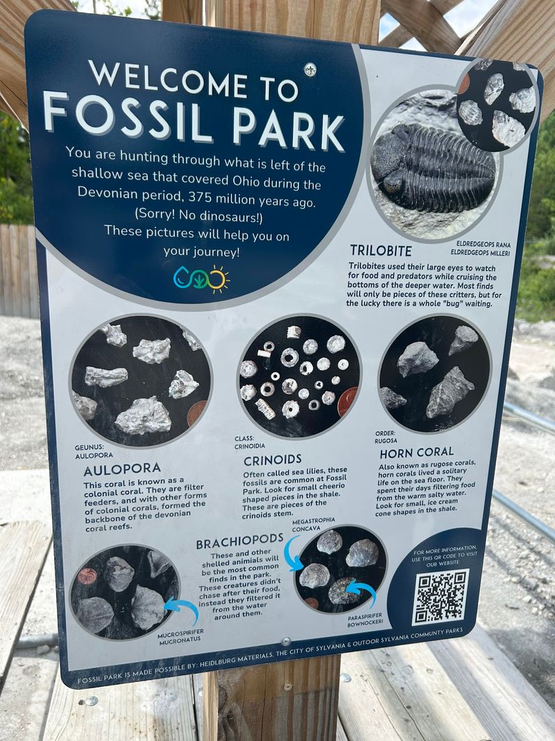 What You Can Actually Find What You Can Actually Find