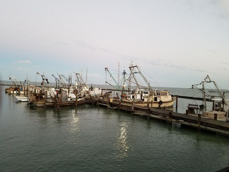 What the Bay Looks Like at First Light