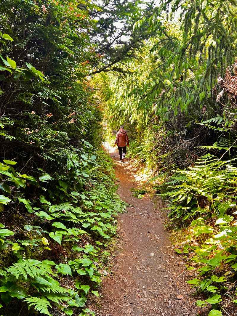 What the Coastal Trail Feels Like on Foot