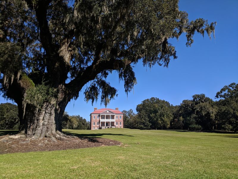 What the Diary Entries Reveal About Plantation Daily Life