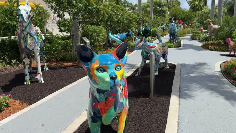 What the Dogs and Cats Walkway Actually Is What the Dogs and Cats Walkway Actually Is