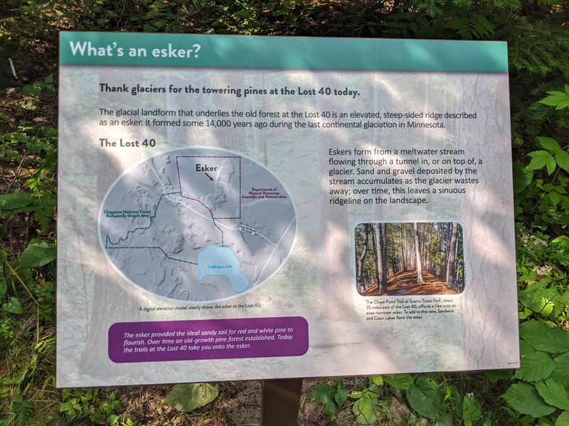 What the Logging Era Left Behind Everywhere Else What the Logging Era Left Behind Everywhere Else