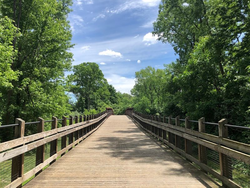 What the Observation Bridges Are Worth