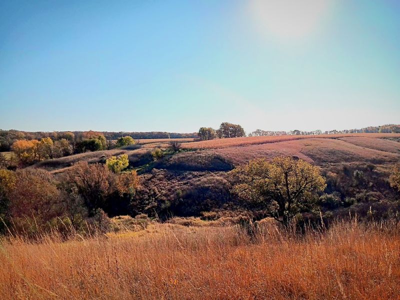 What the Surrounding Farmland Actually Adds to the Experience What the Surrounding Farmland Actually Adds to the Experience