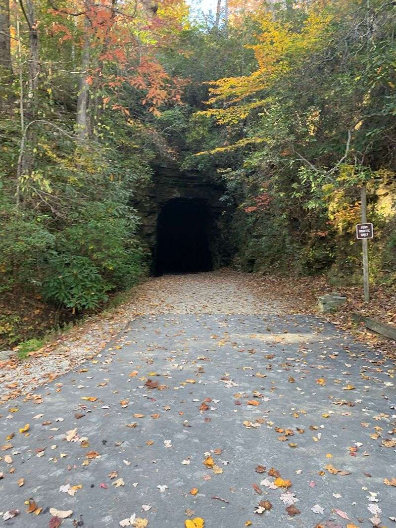 What the Trail Itself Actually Looks Like What the Trail Itself Actually Looks Like