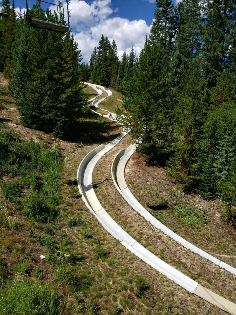What the Winter Park Alpine Slide Actually Is What the Winter Park Alpine Slide Actually Is