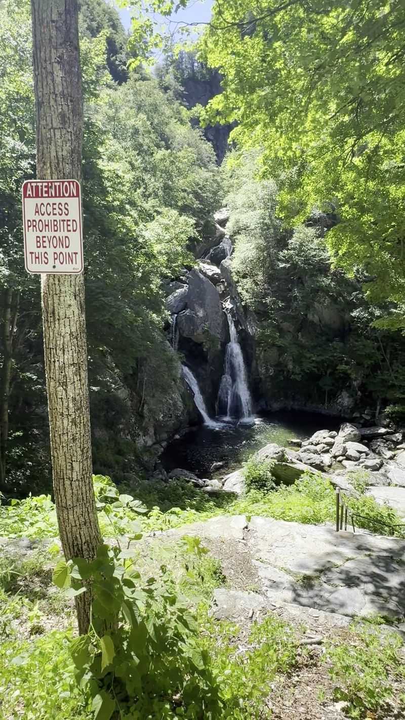 What to Know About the Fence and the Falls What to Know About the Fence and the Falls