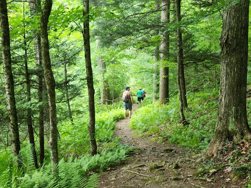 What to Pack and When to Come What to Pack and When to Come