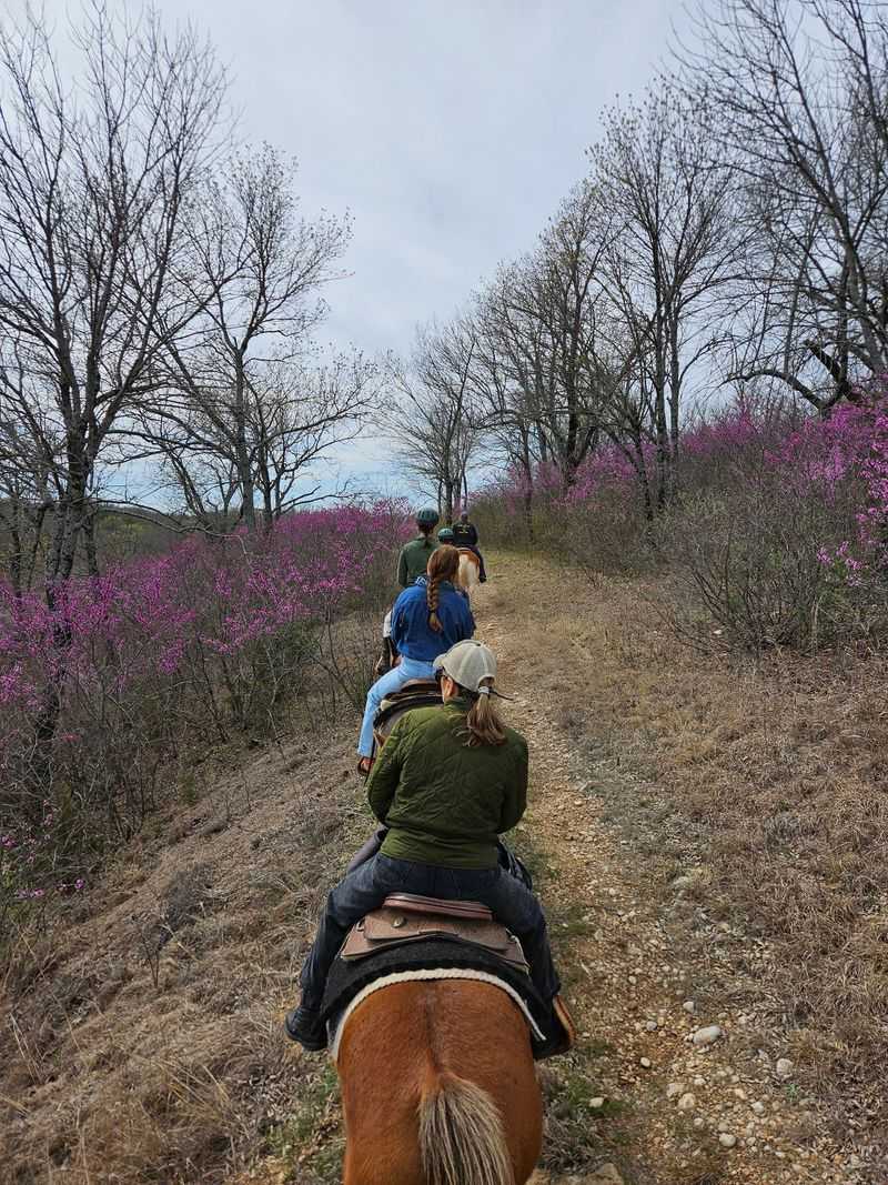 Where Arbuckle Trail Rides Lives and What It Is Where Arbuckle Trail Rides Lives and What It Is