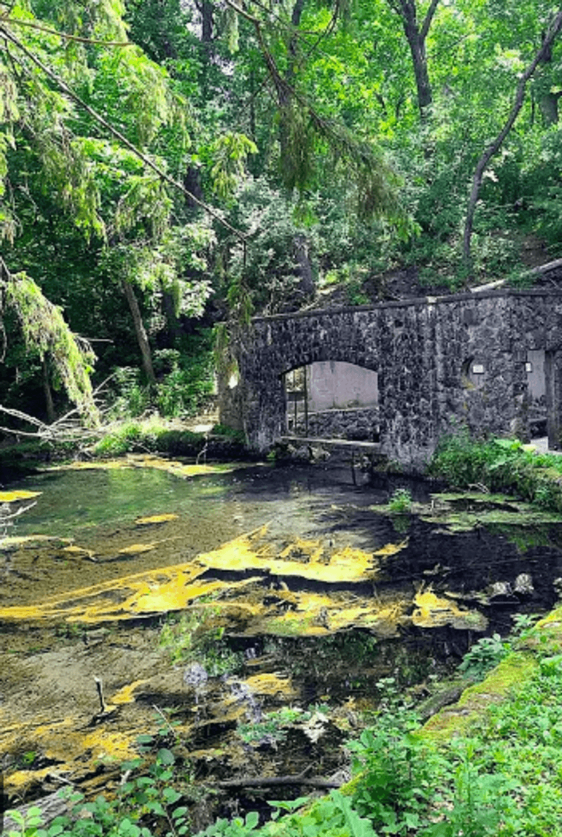 Where Exactly Paradise Springs Is and How to Get There Where Exactly Paradise Springs Is and How to Get There