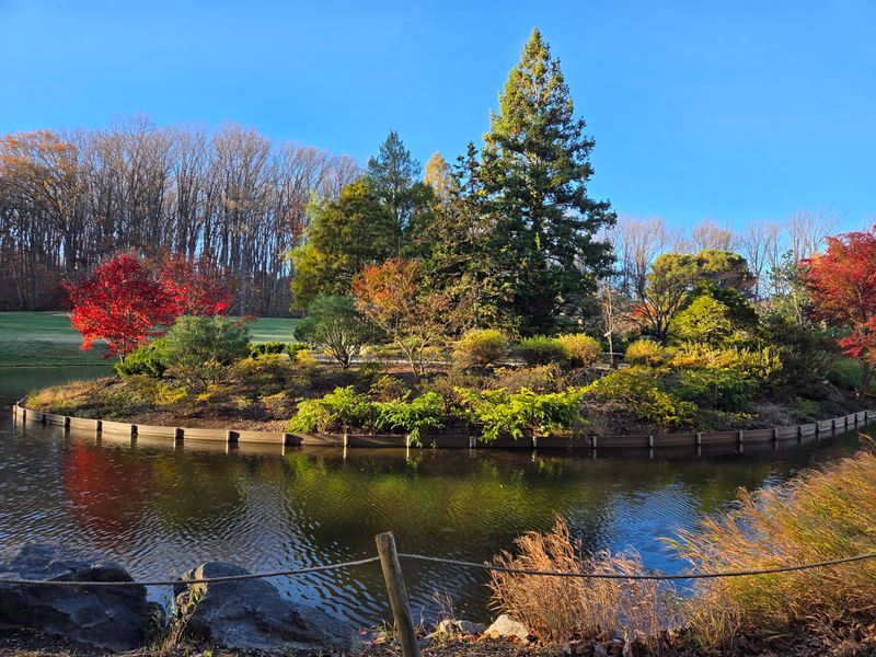 Where Exactly This Garden Sits Where Exactly This Garden Sits